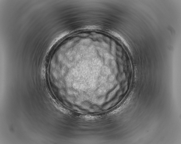 X0000112870827200909041619