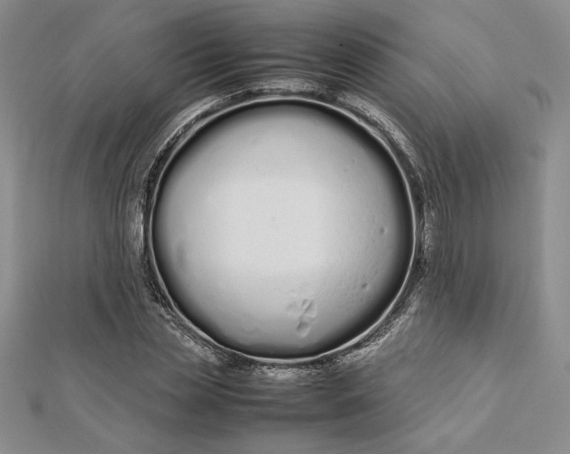 X0000112870829200909041619