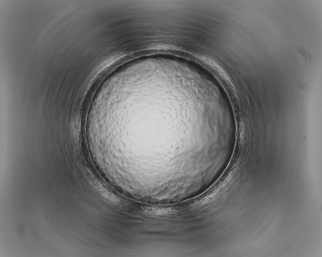 X0000112870831200909041619