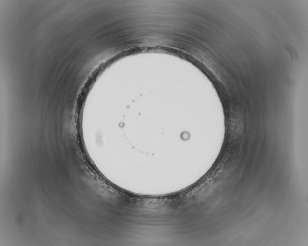 X0000112870832200909041619