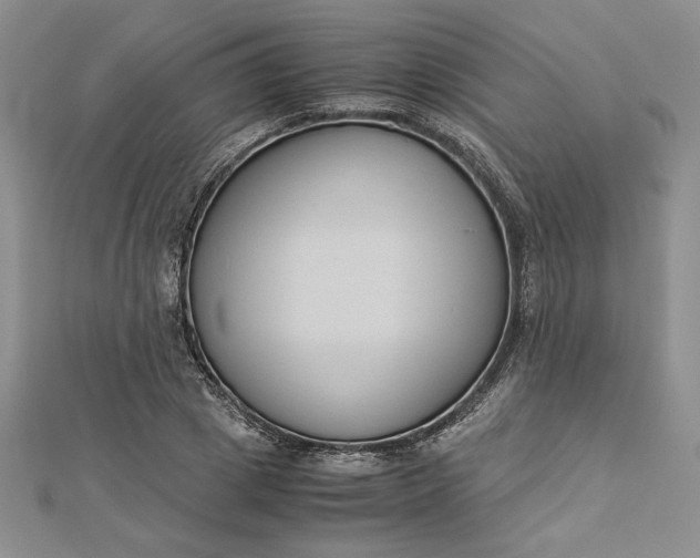 X0000112870833200909041619