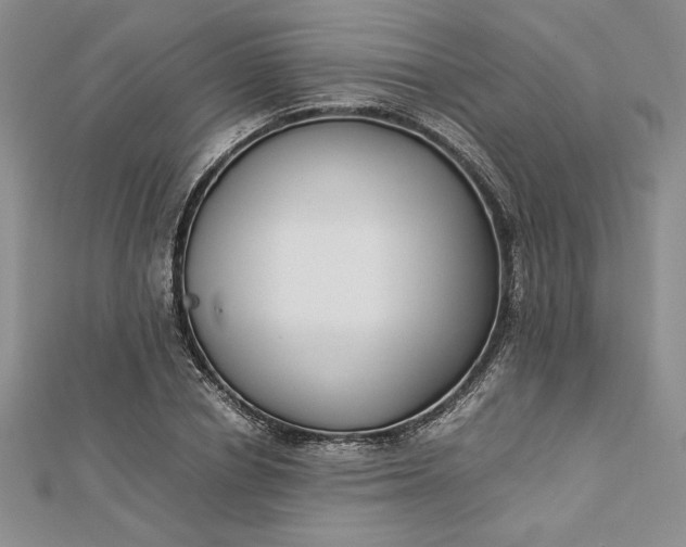 X0000112870834200909041619