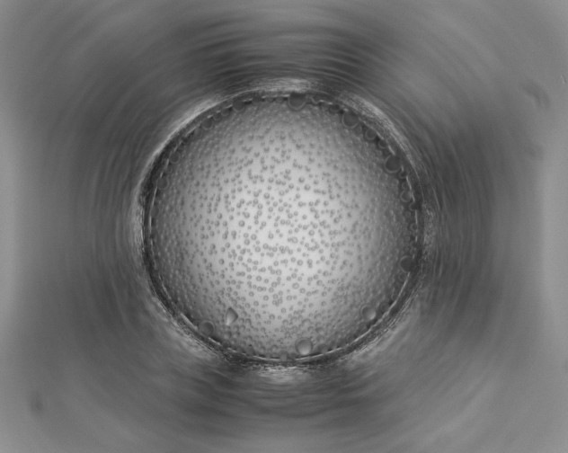 X0000112870835200909041619