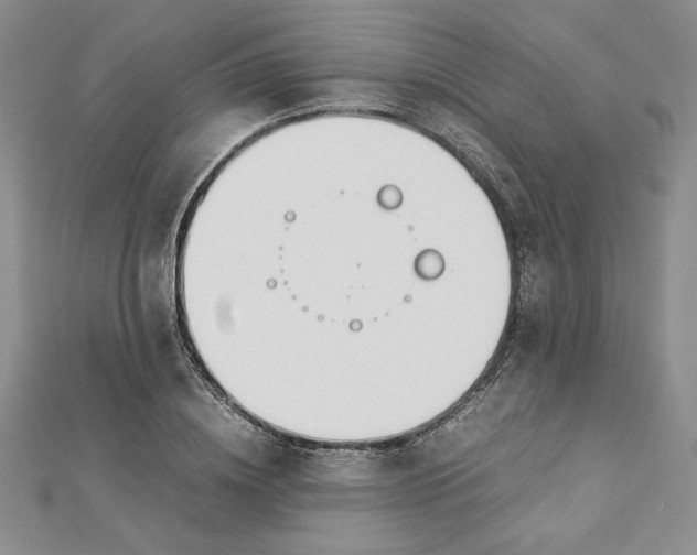 X0000112870836200909041619