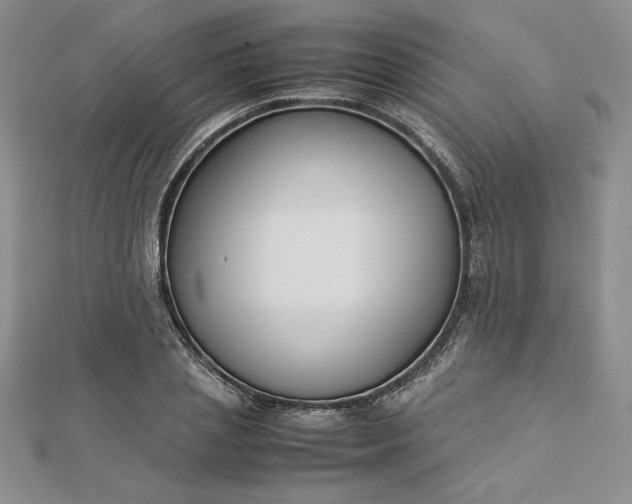 X0000112870837200909041619