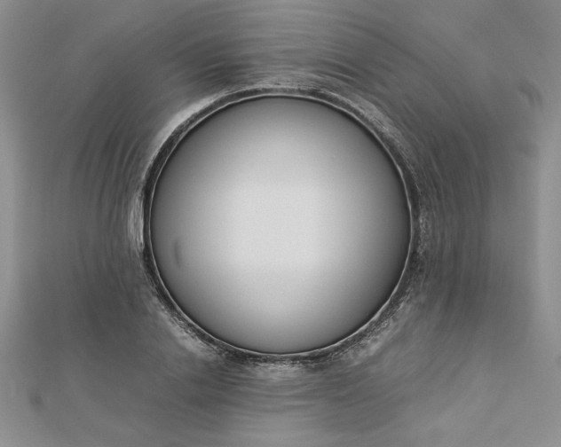 X0000112870838200909041619