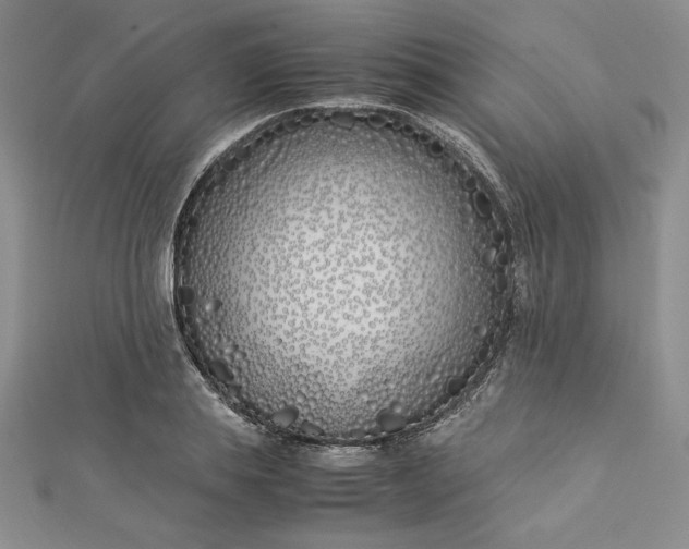 X0000112870839200909041619