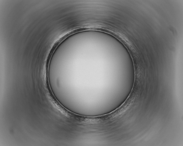 X0000112870840200909041619