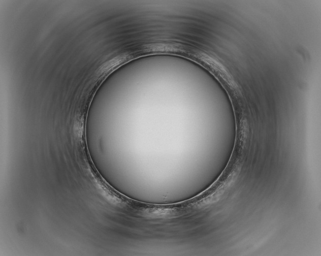 X0000112870841200909041619