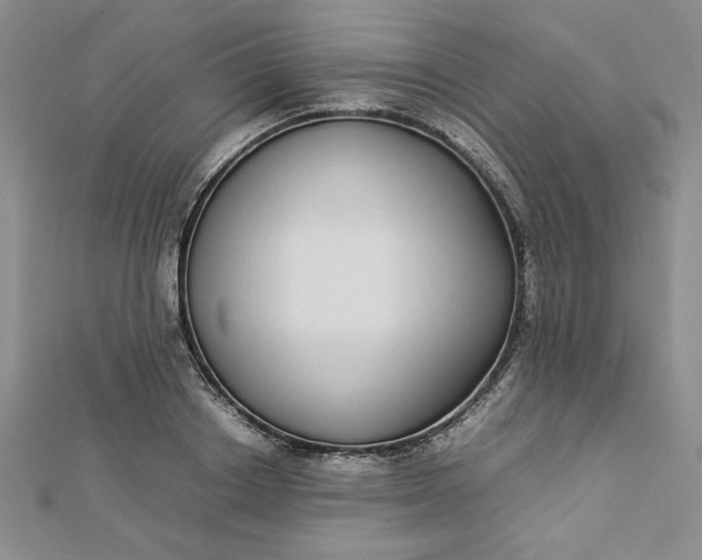 X0000112870842200909041619