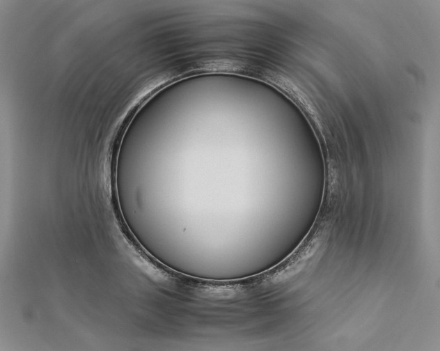 X0000112870843200909041620