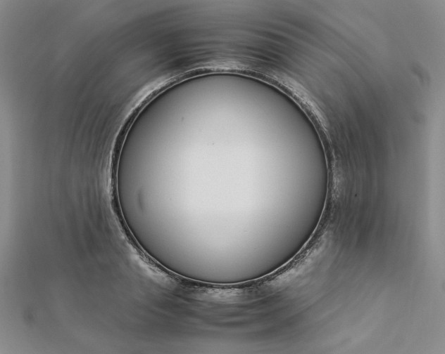 X0000112870845200909041620