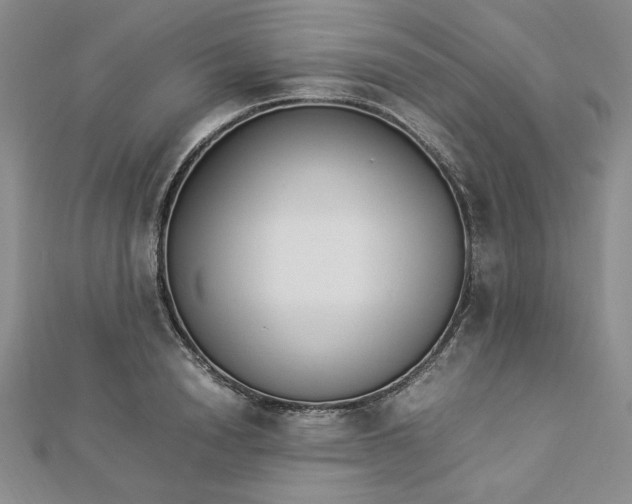 X0000112870846200909041620