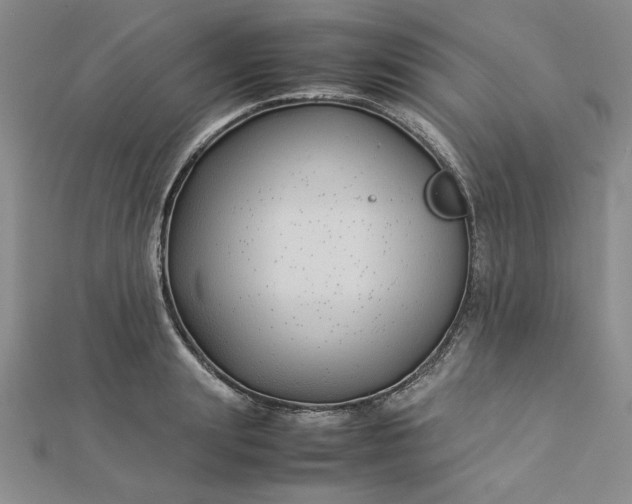 X0000112870847200909041620