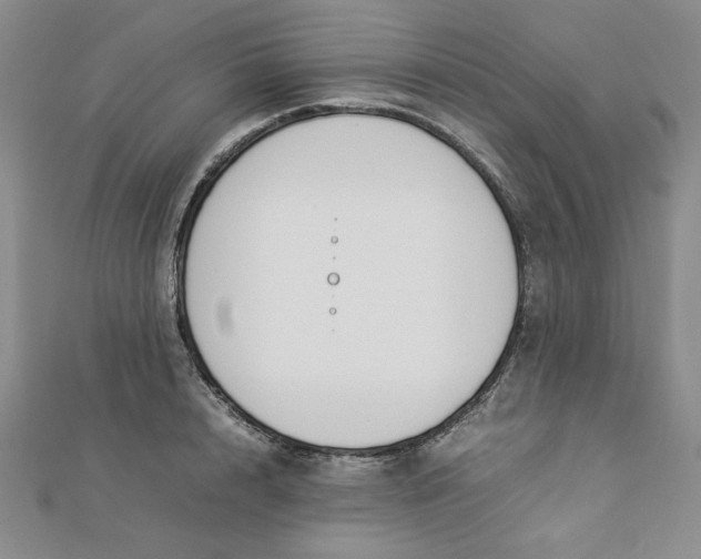 X0000112870848200909041620