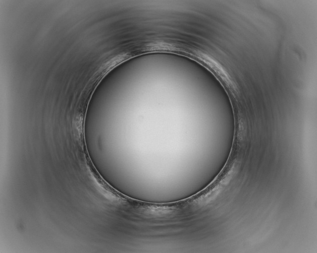 X0000112870849200909041620