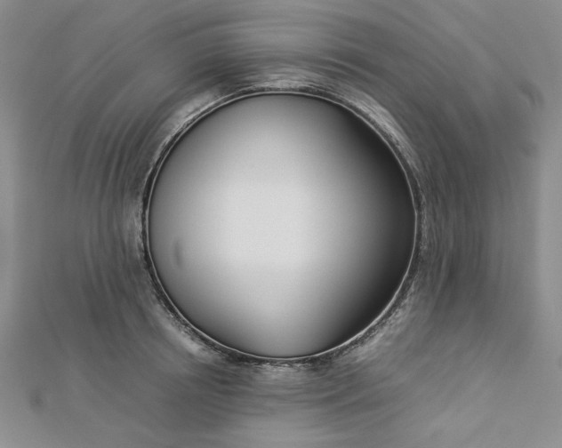 X0000112870850200909041620