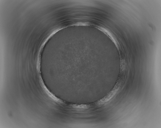 X0000112870851200909041620