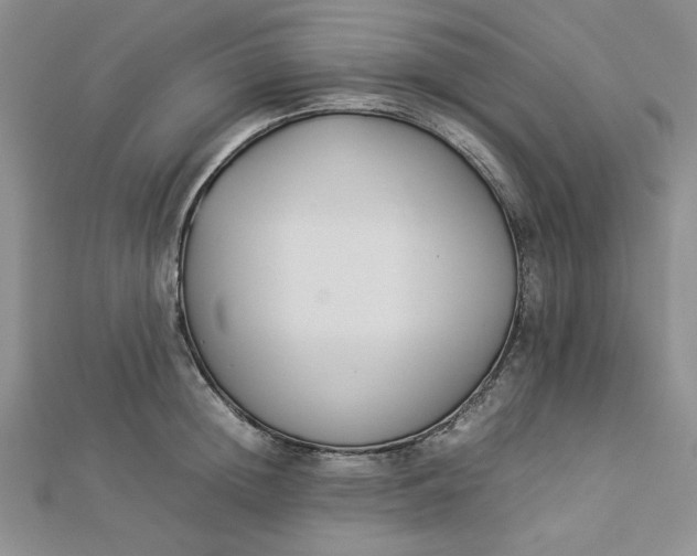 X0000112870852200909041620