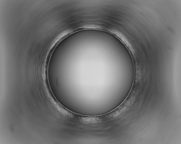 X0000112870853200909041620