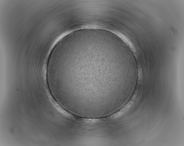 X0000112870854200909041620