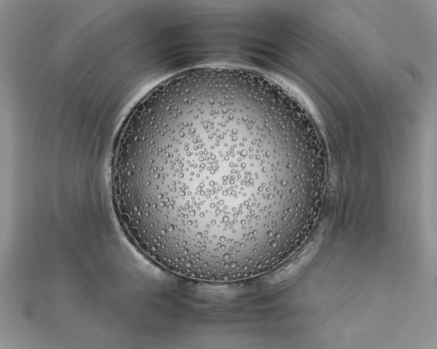 X0000112870855200909041620