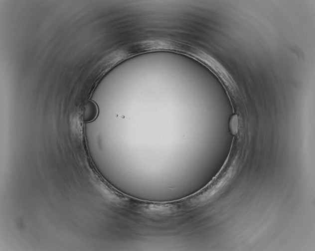 X0000112870857200909041620