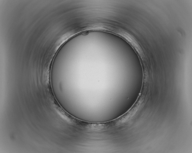 X0000112870858200909041620