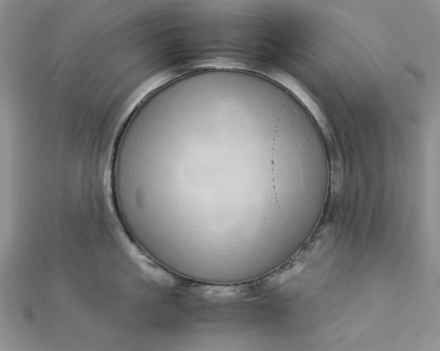 X0000112870861200909041620