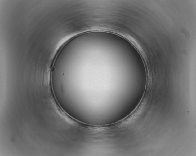 X0000112870862200909041620