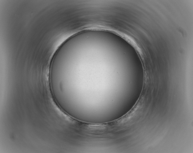 X0000112870863200909041620