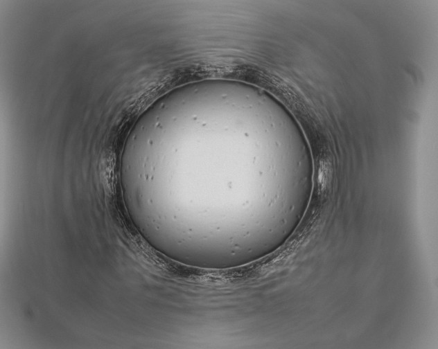 X0000112870867200909041619