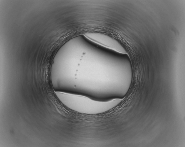 X0000112870868200909041619