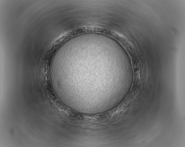 X0000112870870200909041619