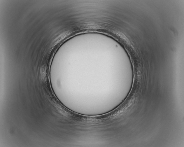 X0000112870873200909041619