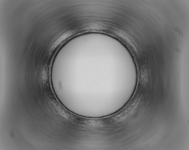 X0000112870874200909041619