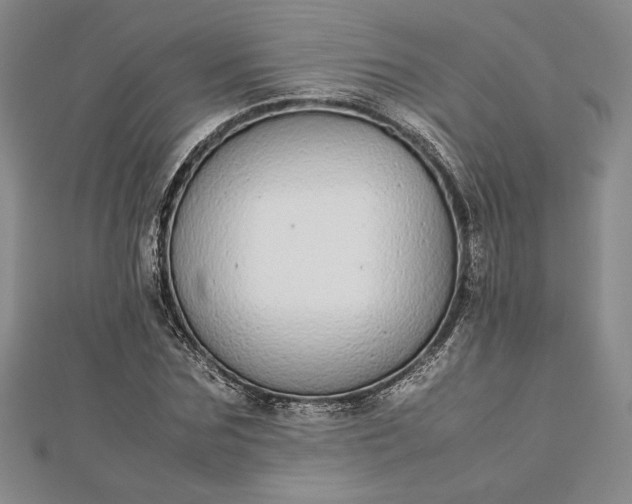 X0000112870875200909041619