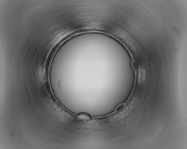 X0000112870876200909041619