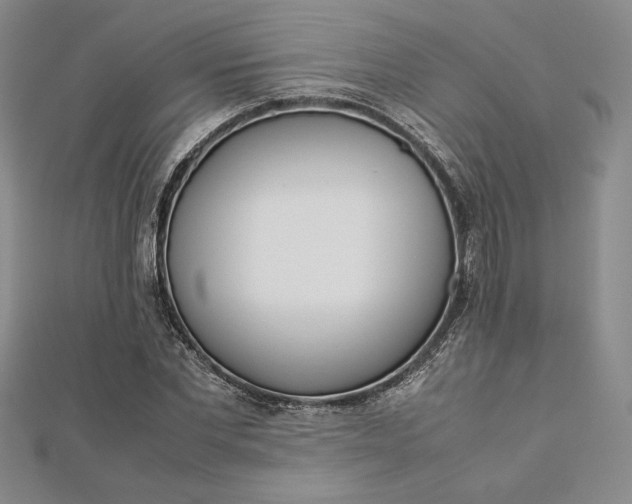 X0000112870877200909041619