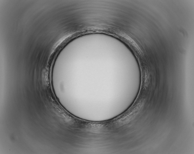 X0000112870878200909041619