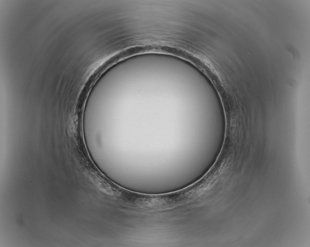 X0000112870879200909041619