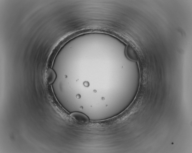 X0000112870880200909041619