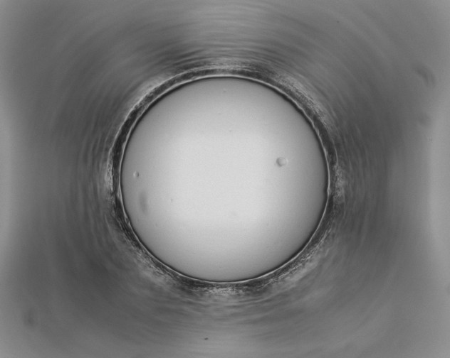 X0000112870883200909041619