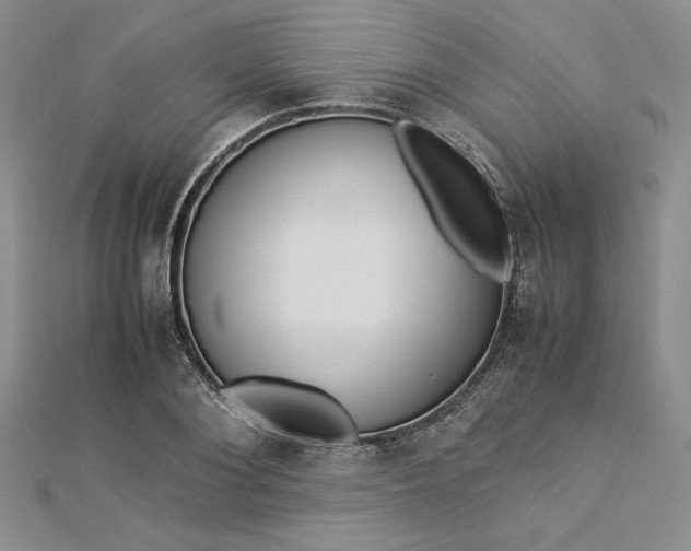 X0000112870884200909041619