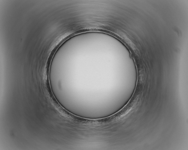 X0000112870885200909041619