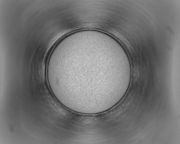 X0000112870886200909041619