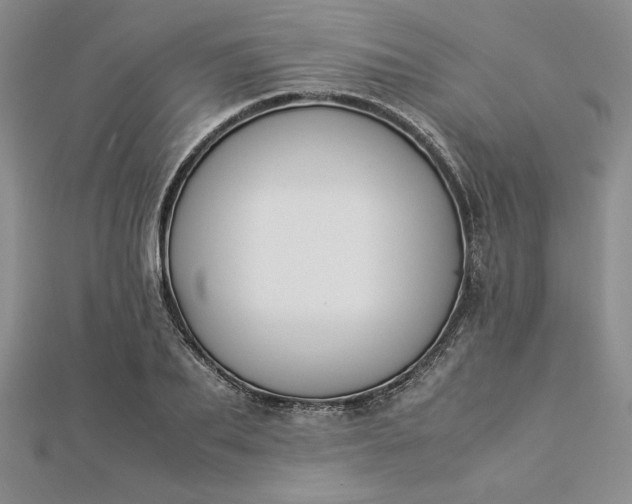 X0000112870887200909041619