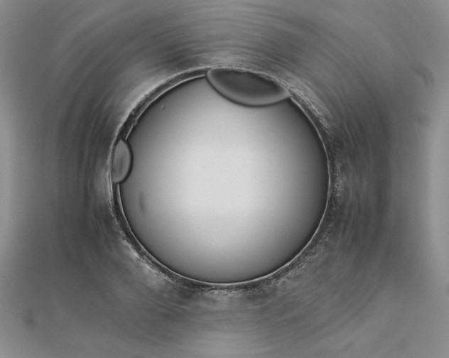 X0000112870888200909041619