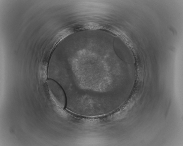 X0000112870889200909041619