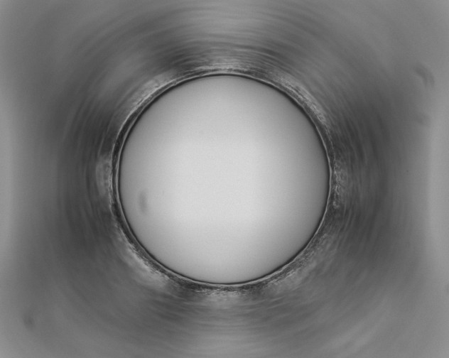 X0000112870890200909041619